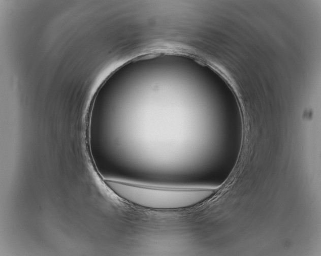 X0000089731152200706210911