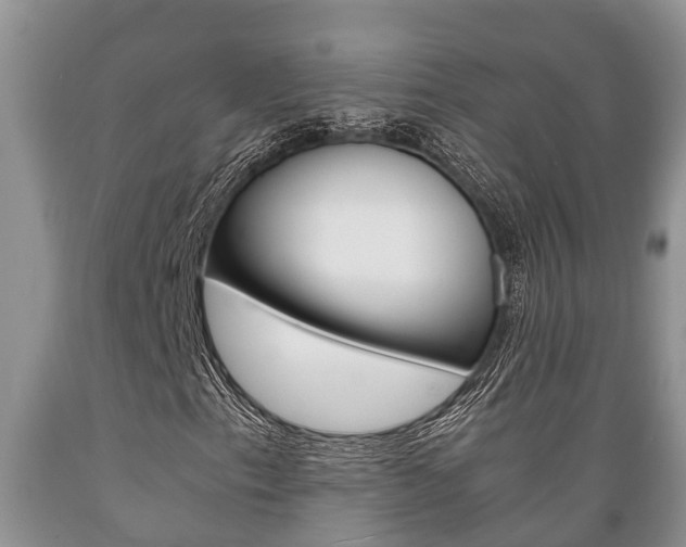 X0000089731153200706210910