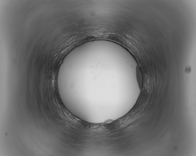 X0000089731154200706210910