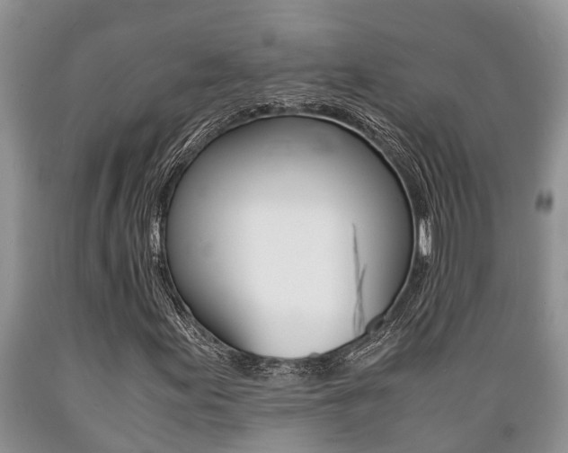 X0000089731155200706210910