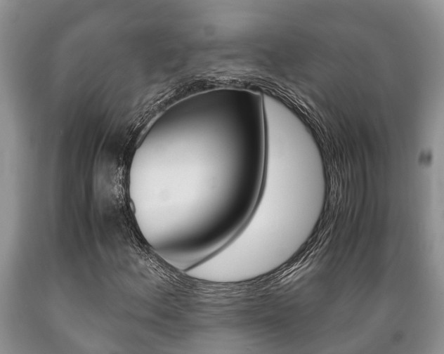 X0000089731156200706210910