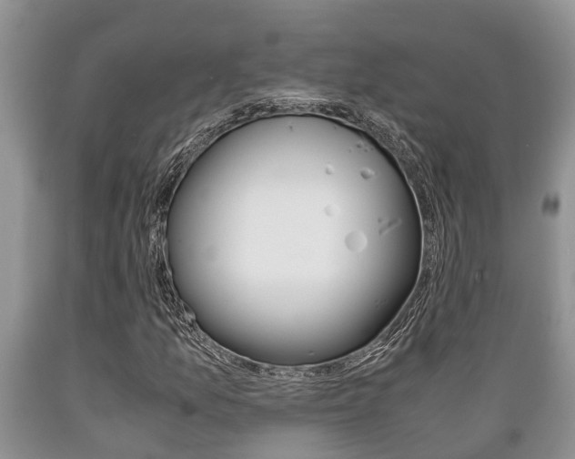 X0000089731157200706210910