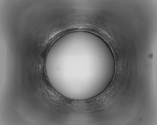 X0000089731158200706210910