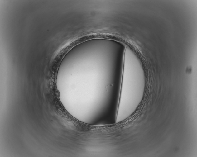 X0000089731159200706210910