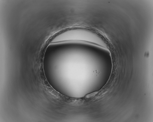 X0000089731160200706210910