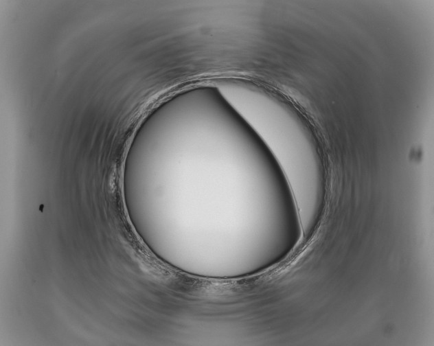 X0000089731161200706210910
