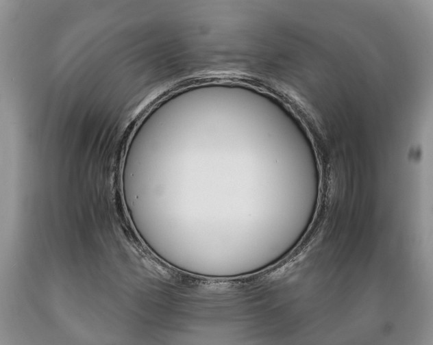 X0000089731162200706210910