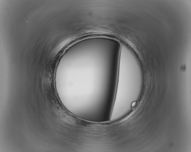 X0000089731163200706210910