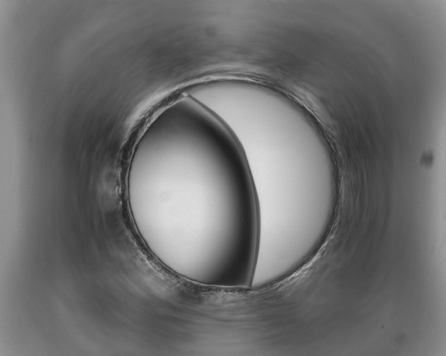 X0000089731164200706210910
