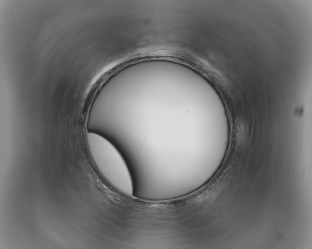 X0000089731166200706210910