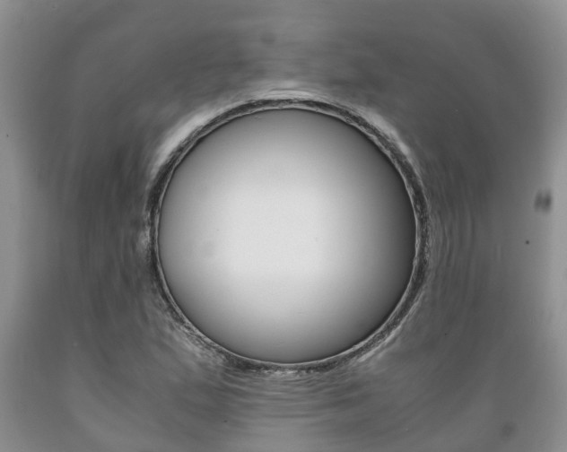 X0000089731167200706210910