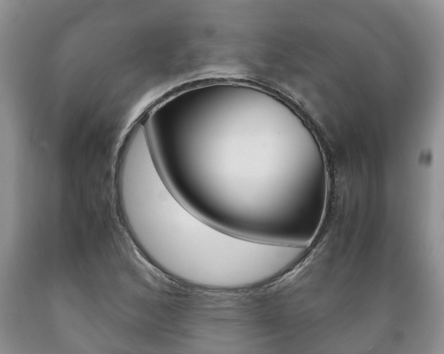 X0000089731168200706210910