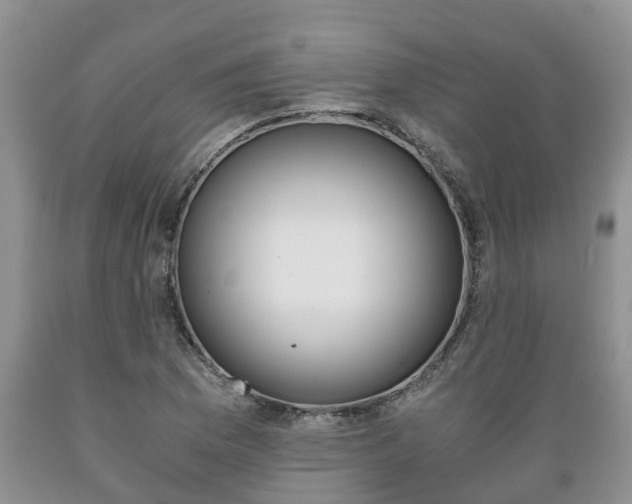 X0000089731169200706210910