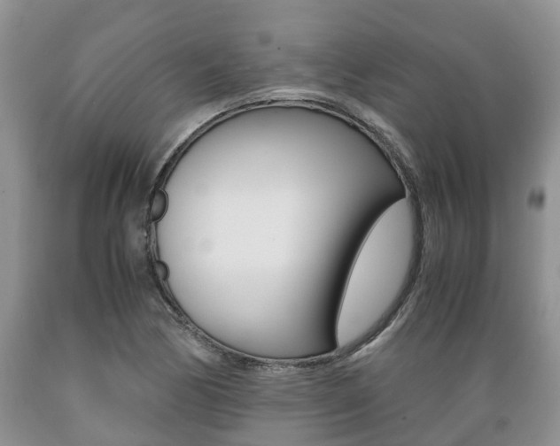 X0000089731170200706210910