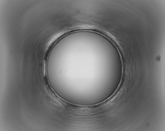 X0000089731171200706210910