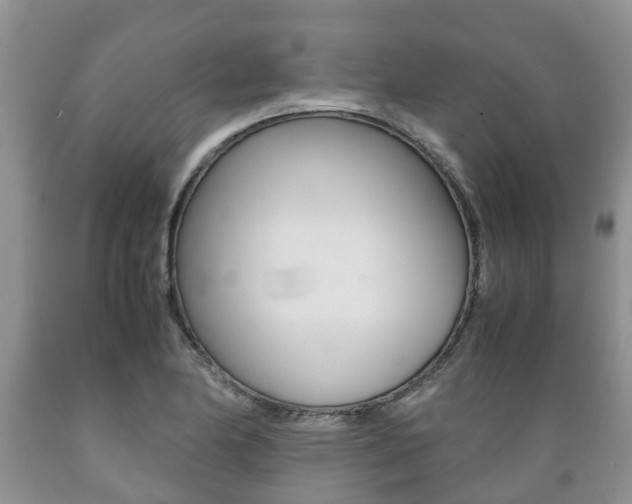 X0000089731174200706210910