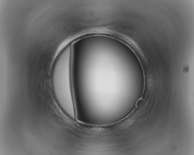 X0000089731176200706210910