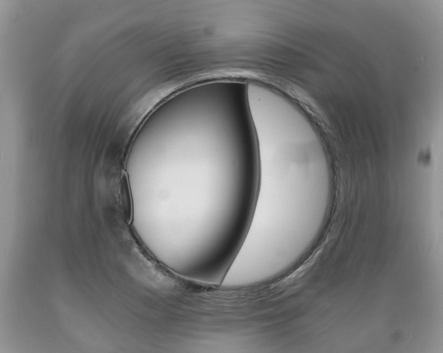X0000089731177200706210910