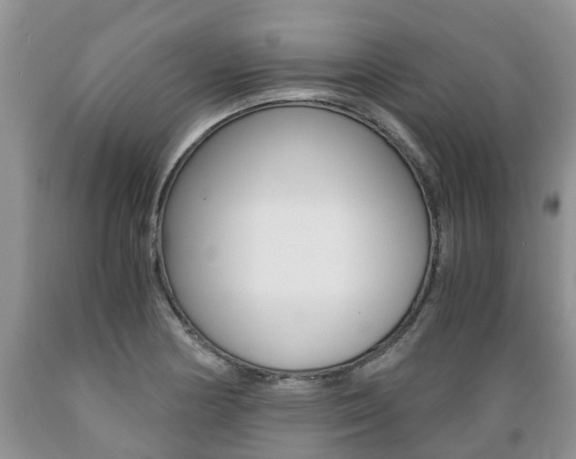 X0000089731178200706210910