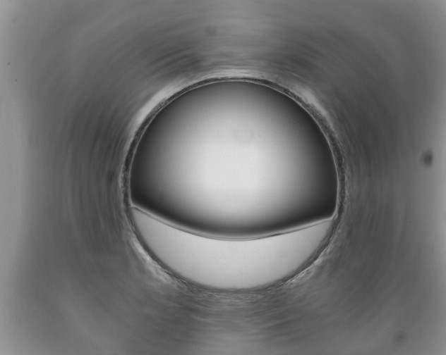 X0000089731181200706210910