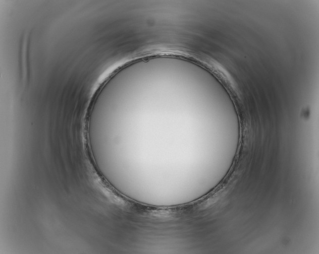 X0000089731182200706210910