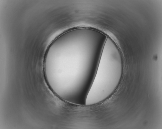X0000089731183200706210910