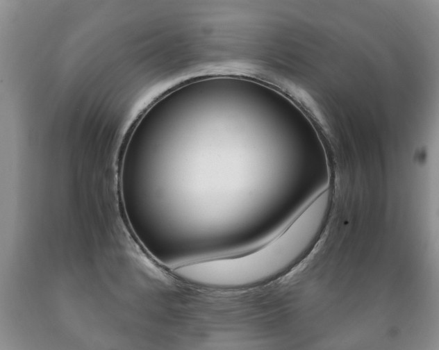 X0000089731184200706210910