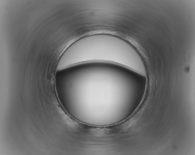X0000089731185200706210910