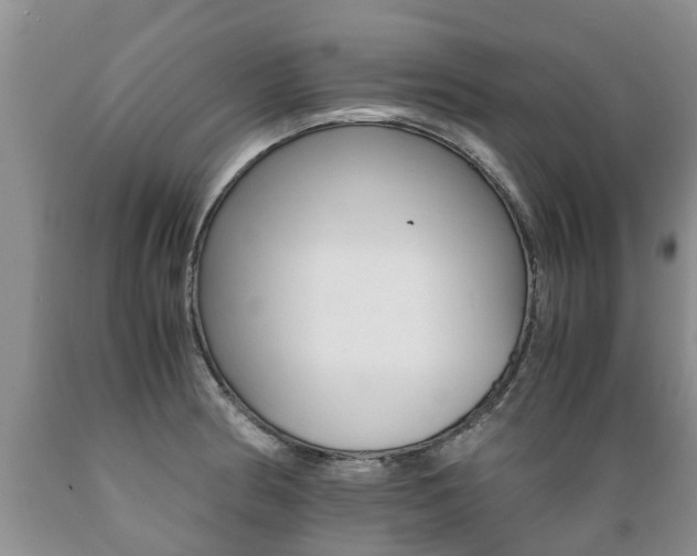 X0000089731186200706210910