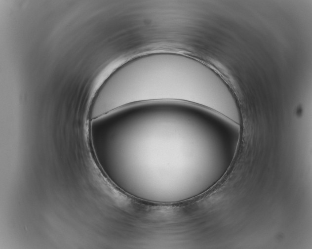 X0000089731188200706210910