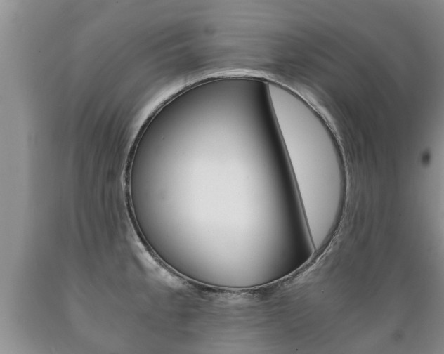 X0000089731189200706210910