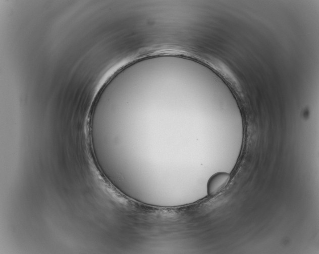 X0000089731190200706210910