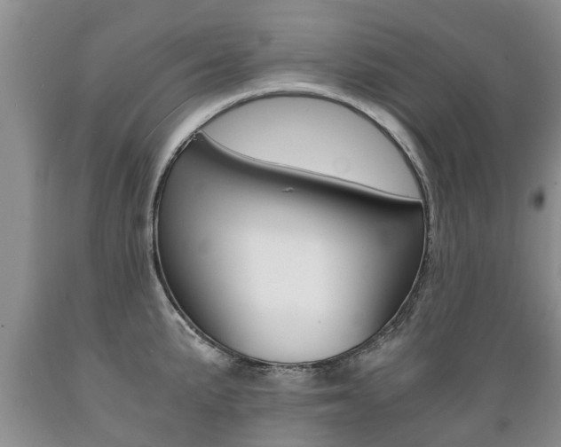 X0000089731191200706210909