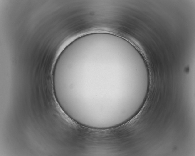 X0000089731192200706210909