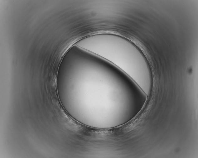 X0000089731193200706210909