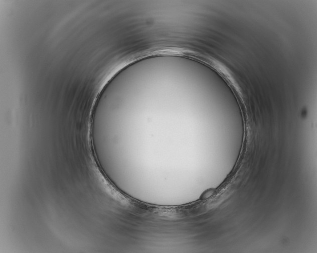X0000089731194200706210909