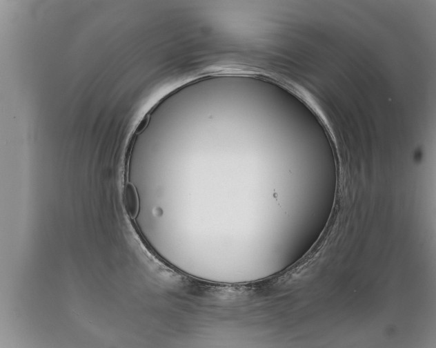 X0000089731195200706210909