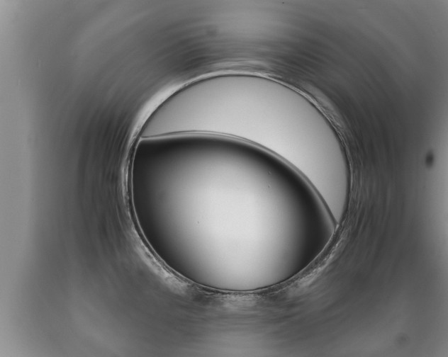 X0000089731196200706210909