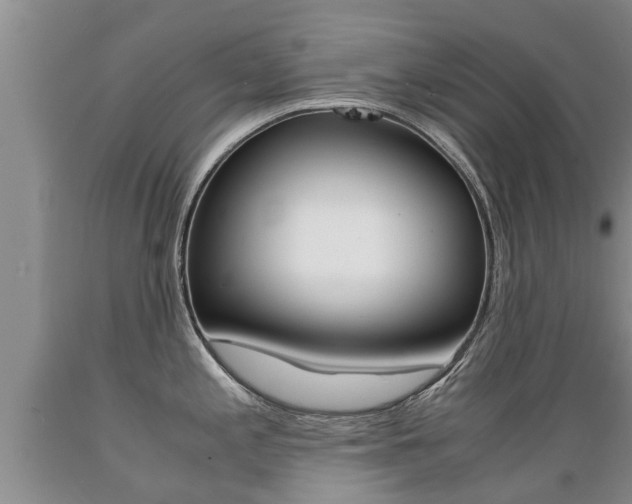 X0000089731197200706210909