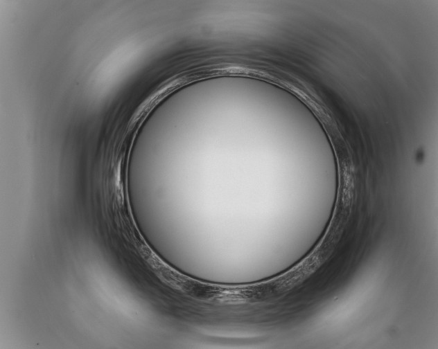 X0000089731198200706210909