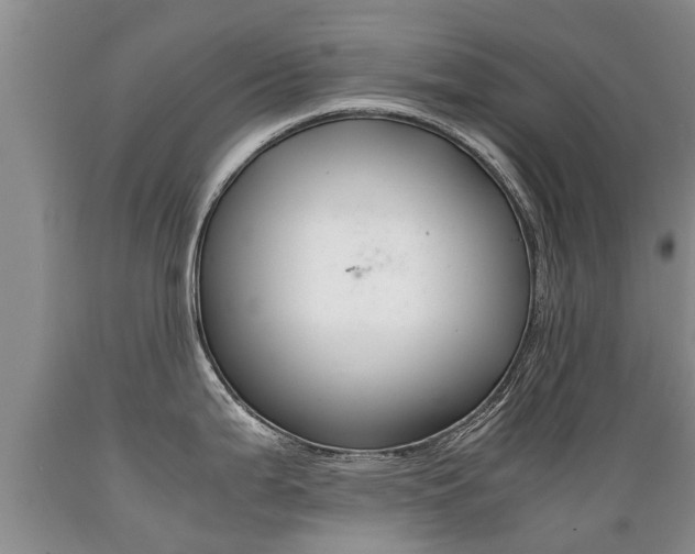 X0000089731199200706210909