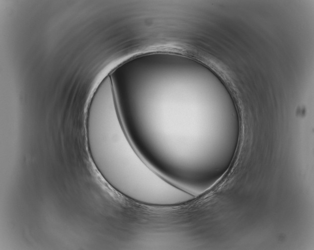 X0000089731200200706210909