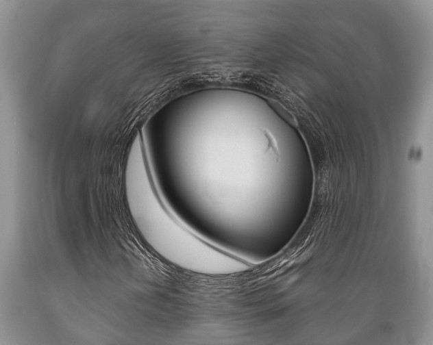 X0000089731202200706210909
