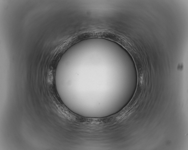 X0000089731204200706210909