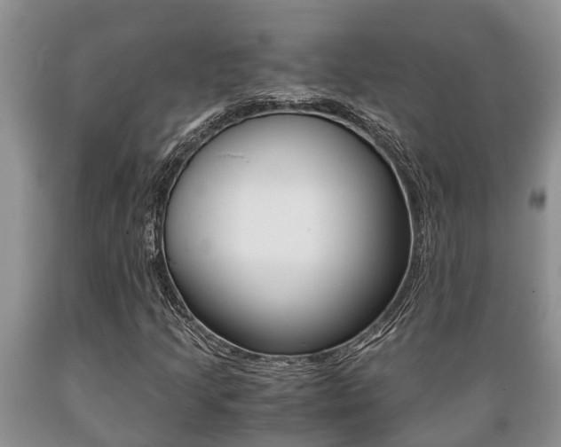 X0000089731205200706210909