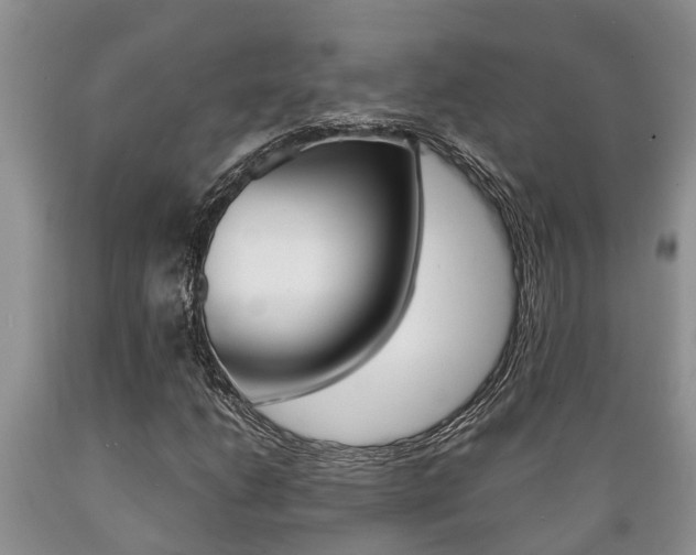 X0000089731206200706210909
