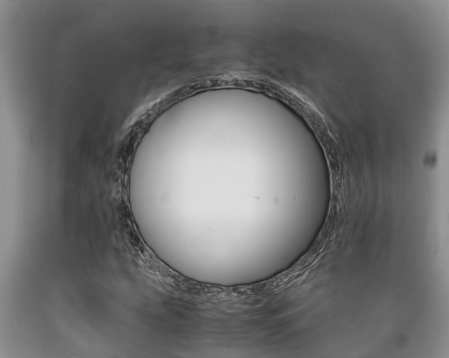 X0000089731207200706210909