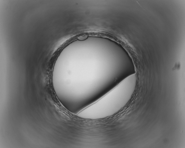 X0000089731208200706210909
