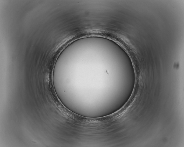 X0000089731209200706210909