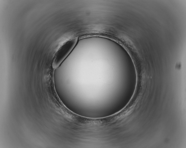 X0000089731210200706210909